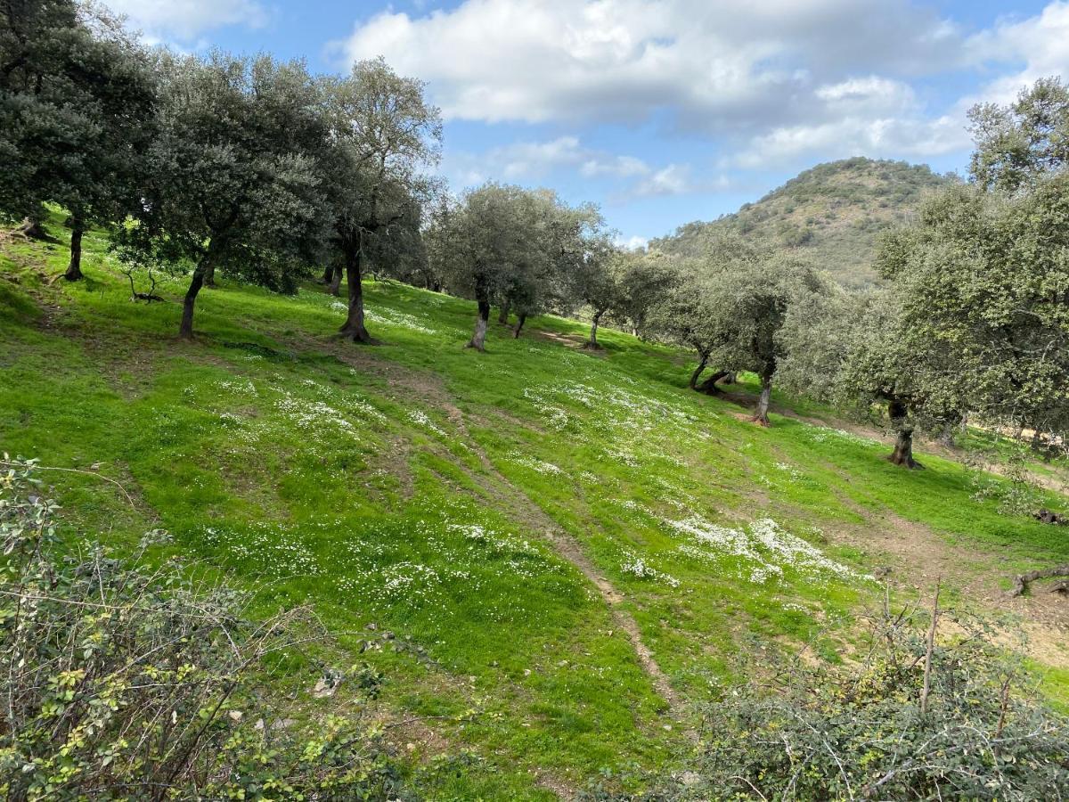 El Rincon De Aracena Βίλα Εξωτερικό φωτογραφία