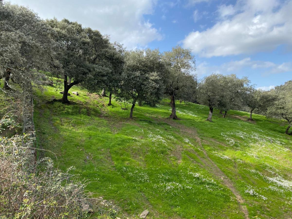 El Rincon De Aracena Βίλα Εξωτερικό φωτογραφία